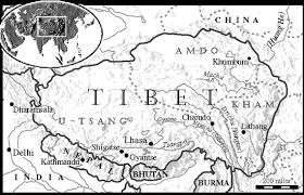 Tibetan terrier history